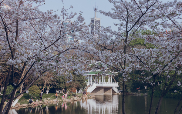 天津师范大学各专业组在广西录取分数线 2026广西考生多少分能上天津师范大学