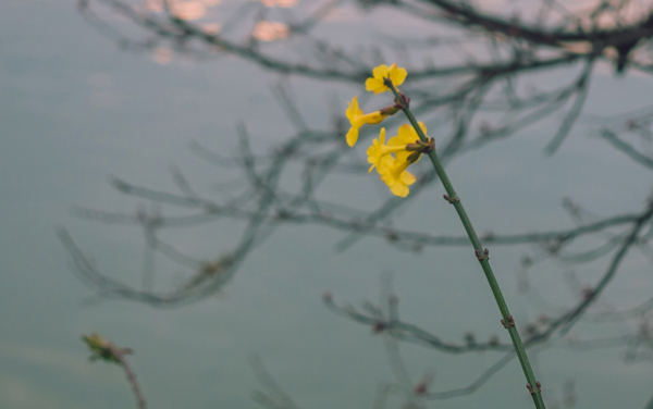 湖北医药学院药护学院各专业组在广西录取分数线 2026广西考生多少分能上湖北医药学院药护学院