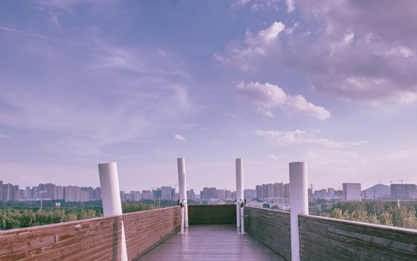 2025年西安交通大学城市学院在青海招生代码及专业代码 西安交通大学城市学院青海代码是多少？怎么查询？