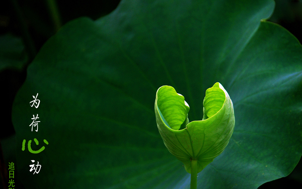 2026湖南历史类424分左右能报哪些大学 可以上院校及位次（公办、民办）