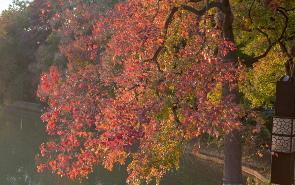 2027新高考石油工程专业怎么选科 天津选科要求及必选科目有哪些