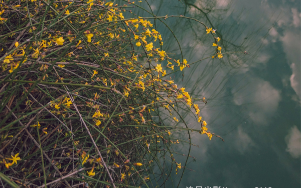 2027新高考尼泊尔语专业怎么选科 山东选科要求及必选科目有哪些