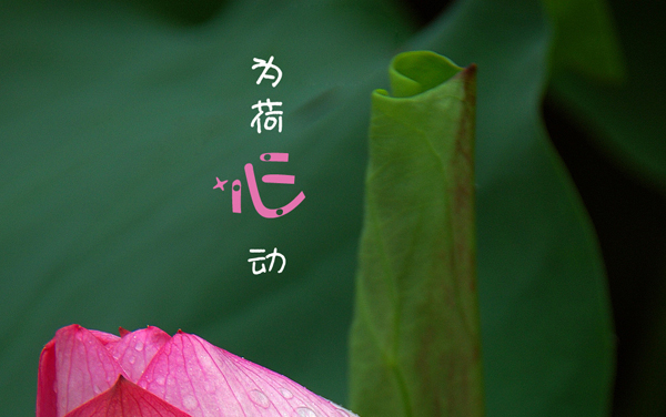 成都新学艺考文化课补习班招生简章