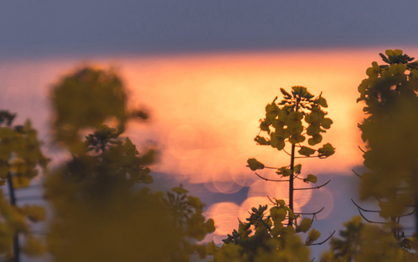 2026广东物理类361分左右能报哪些大学 可以上院校及位次(公办、民办)