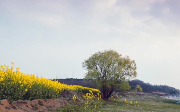 2026助理医师资格证报考条件是什么 怎么报考