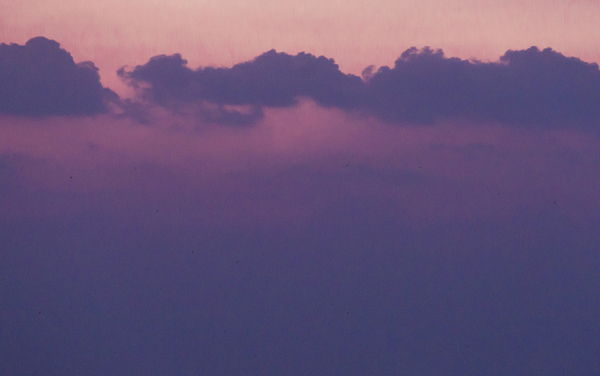 2026河北高考多少分能上北方工业大学及专业？最低550分附录取分数线