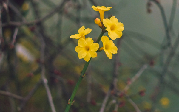 艺术生高考582多分能上什么大学 2026艺术类院校推荐