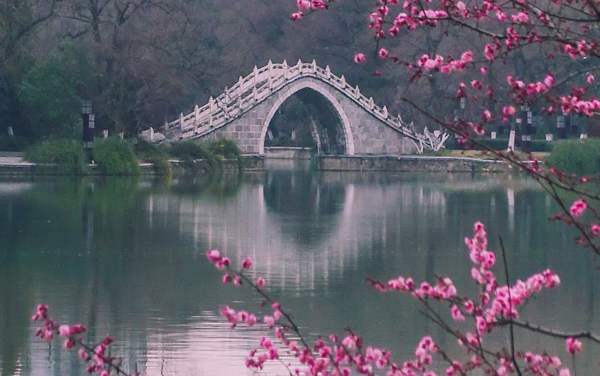 成都排名前十的高三艺考文化课培训机构