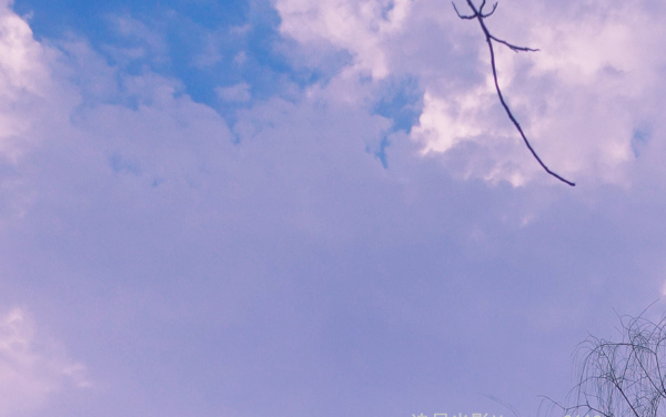 2026山西高考多少分能上苏州高博职业学院及专业？最低297分附录取分数线