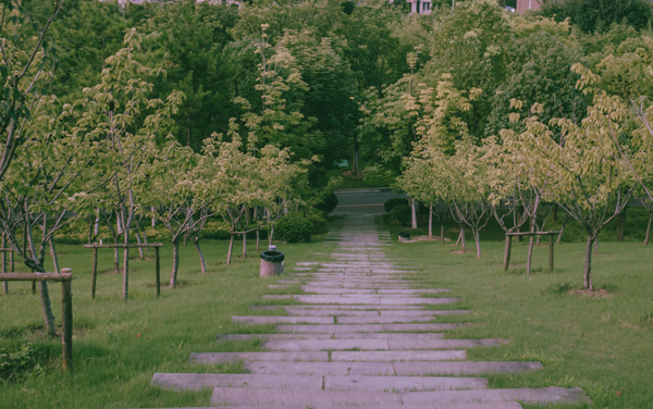 2026湖北高考多少分能上郑州航空工业管理学院及专业？最低486分附录取分数线