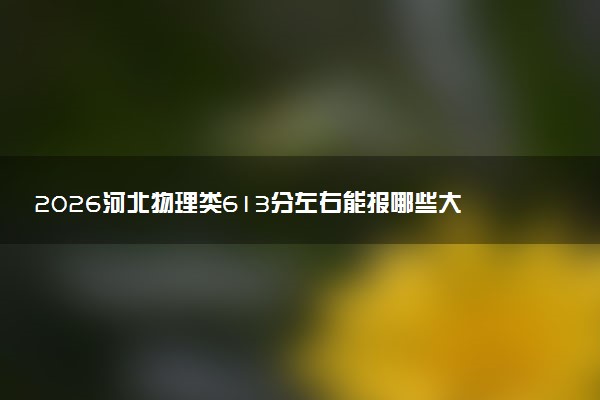 2026河北物理类613分左右能报哪些大学 可以上院校及位次（公办、民办）