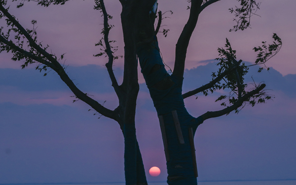 2027新高考智能机器人技术专业怎么选科 辽宁选科要求及必选科目有哪些