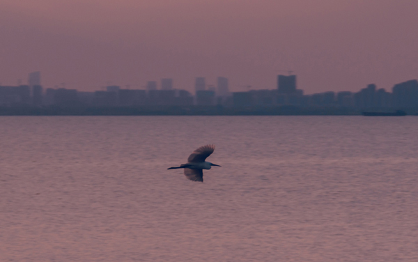 2026安徽高考多少分能上山东航空学院及专业?最低504分附录取分数线