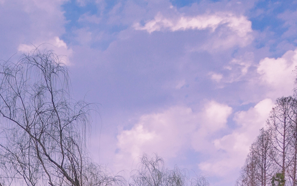 2026贵州高考多少分能上山东农业大学及专业?最低460分附录取分数线