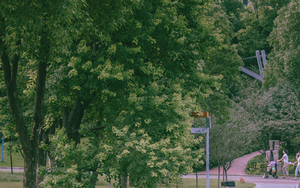 云南2026艺术类统考/联考报名时间什么时候 具体报名时间安排