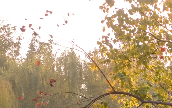 2026黑龙江高考多少分能上杭州师范大学及专业？最低511分附录取分数线