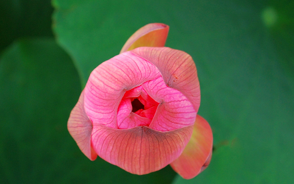 2026江西高考多少分能上上海济光职业技术学院及专业?最低243分附录取分数线