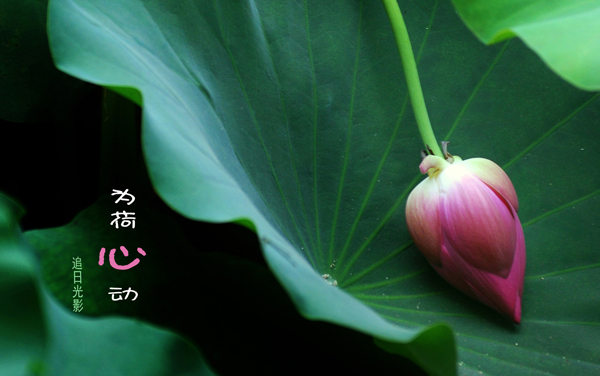 2026江西高考多少分能上柳州职业技术大学及专业?最低375分附录取分数线