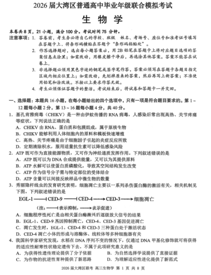 广东省大湾区2026届高三上学期10月联考生物试题