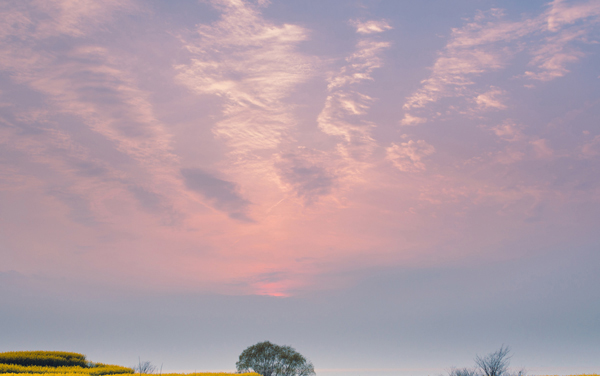 2027新高考法学专业怎么选科 辽宁选科要求及必选科目有哪些