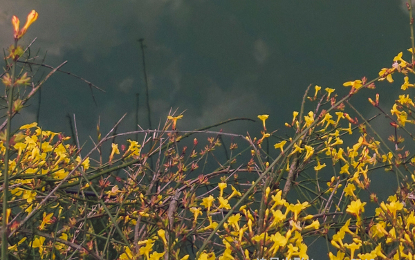 2026浙江高考多少分能上浙江警官职业学院及专业?最低464分附录取分数线