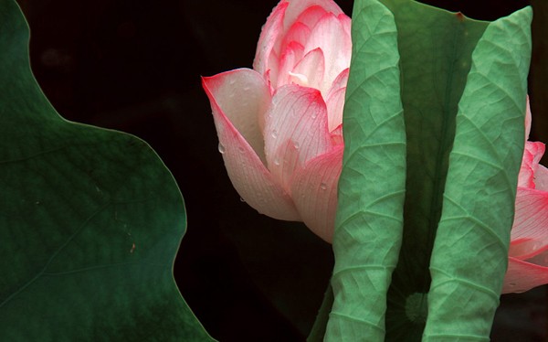 2026重庆高考多少分能上南通理工学院及专业?最低425分附录取分数线