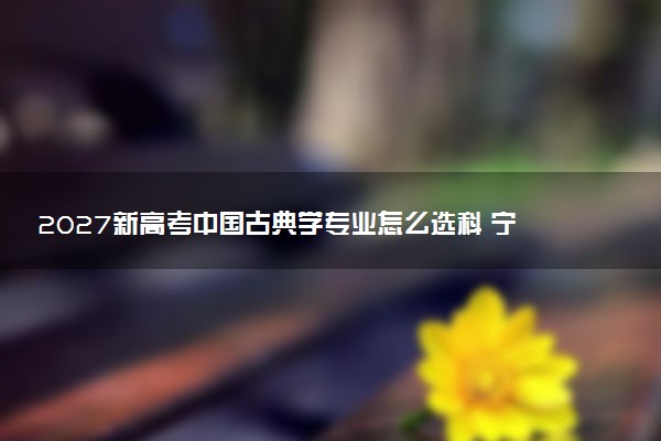 2027新高考中国古典学专业怎么选科 宁夏选科要求及必选科目有哪些