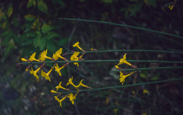 2026安徽高考多少分能上宿州航空职业学院及专业?最低200分附录取分数线