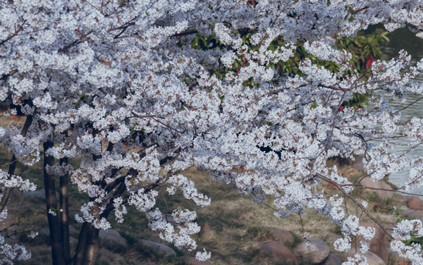 2026山西高考多少分能上沈阳城市建设学院及专业?最低245分附录取分数线