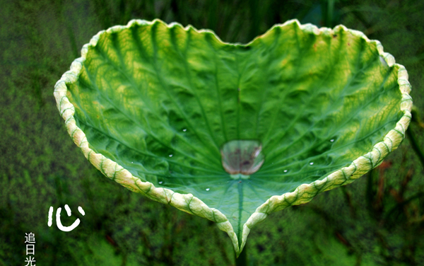 2026内蒙古高考多少分能上北京工商大学及专业？最低530分附录取分数线