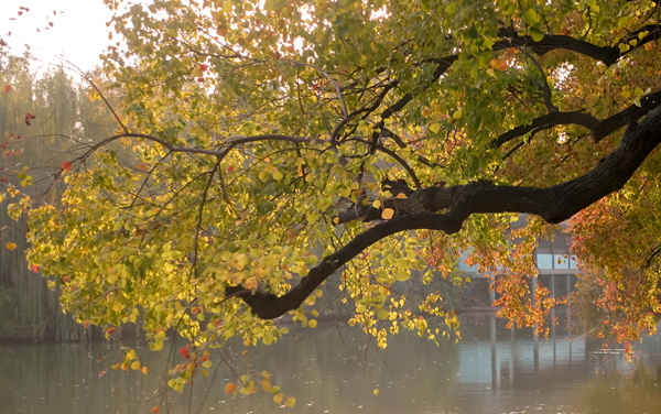 2027新高考水利水电建筑工程专业怎么选科 辽宁选科要求及必选科目有哪些