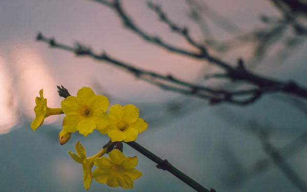 2026浙江高考多少分能上江西科技职业学院及专业？最低329分附录取分数线