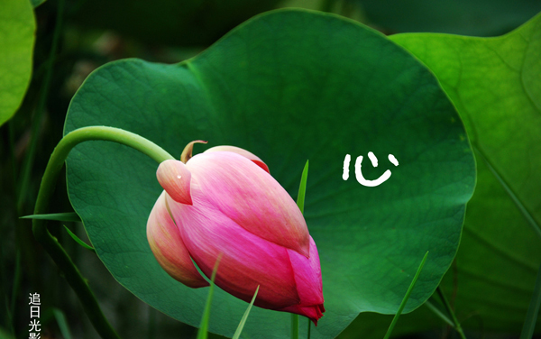 2026黑龙江高考多少分能上江西医学高等专科学校及专业？最低317分附录取分数线