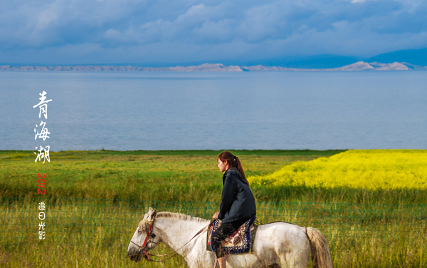 2026广西高考多少分能上天津科技大学及专业？最低491分附录取分数线