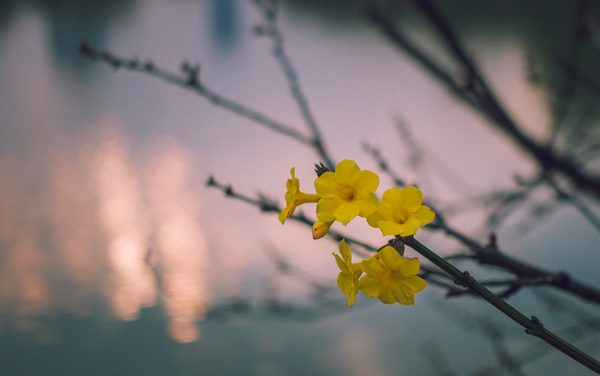 2026广东多少分稳上211大学 附2025全国211大学在广东录取分数线