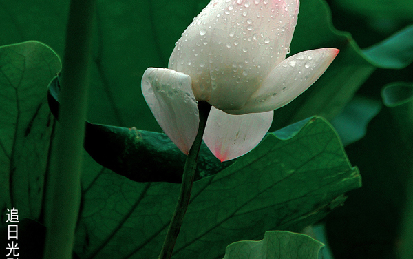 2026福建高考多少分能上沈阳药科大学及专业?最低464分附录取分数线