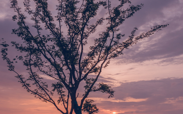 2026山西高考多少分能上惠州工程职业学院及专业？最低299分附录取分数线