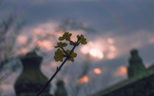 新高考河南418分左右可以上哪些大学 2026院校名单推荐