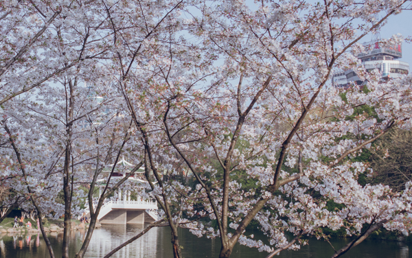 新高考福建273分左右可以上哪些大学 2026院校名单推荐